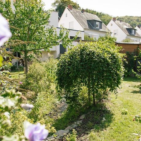 Ferienwohnung Am Breyer Talbach Εξωτερικό φωτογραφία